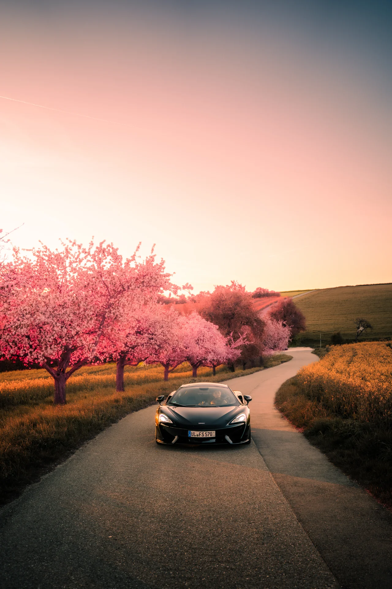 McLaren 570S Fotoshooting, Bild 29