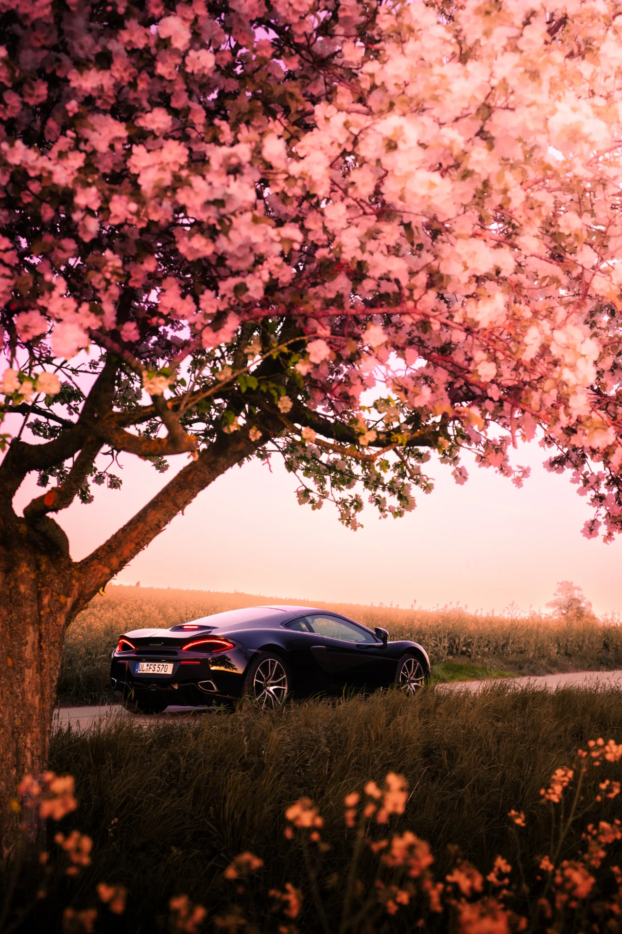 McLaren 570S Fotoshooting, Bild 32