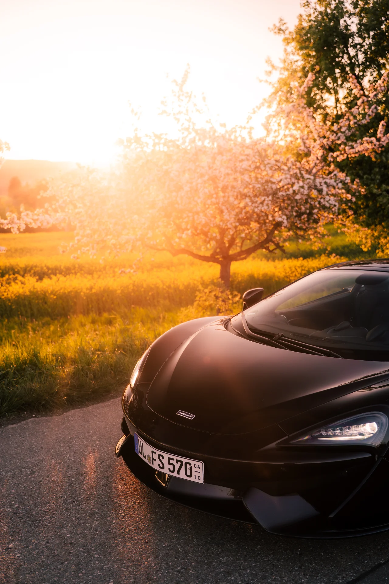 McLaren 570S Fotoshooting, Bild 37