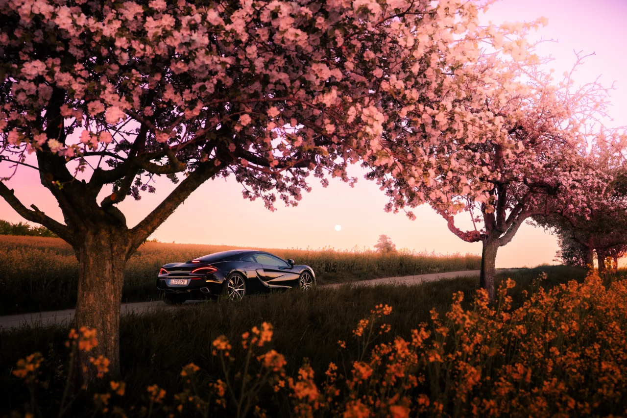 McLaren 570S Fotoshooting, Bild 33