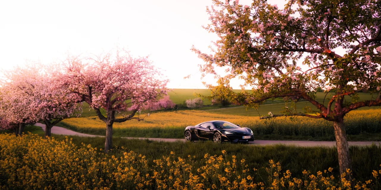 McLaren 570S Fotoshooting, Bild 36