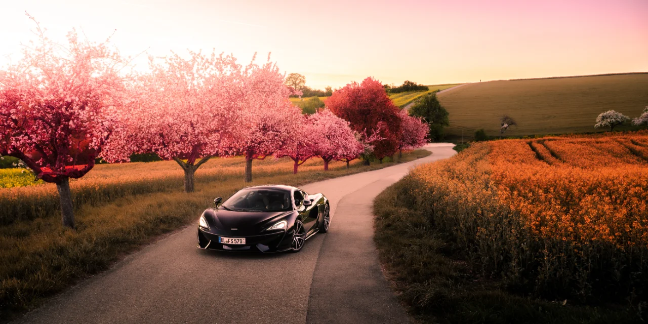 McLaren 570S Fotoshooting, Bild 39