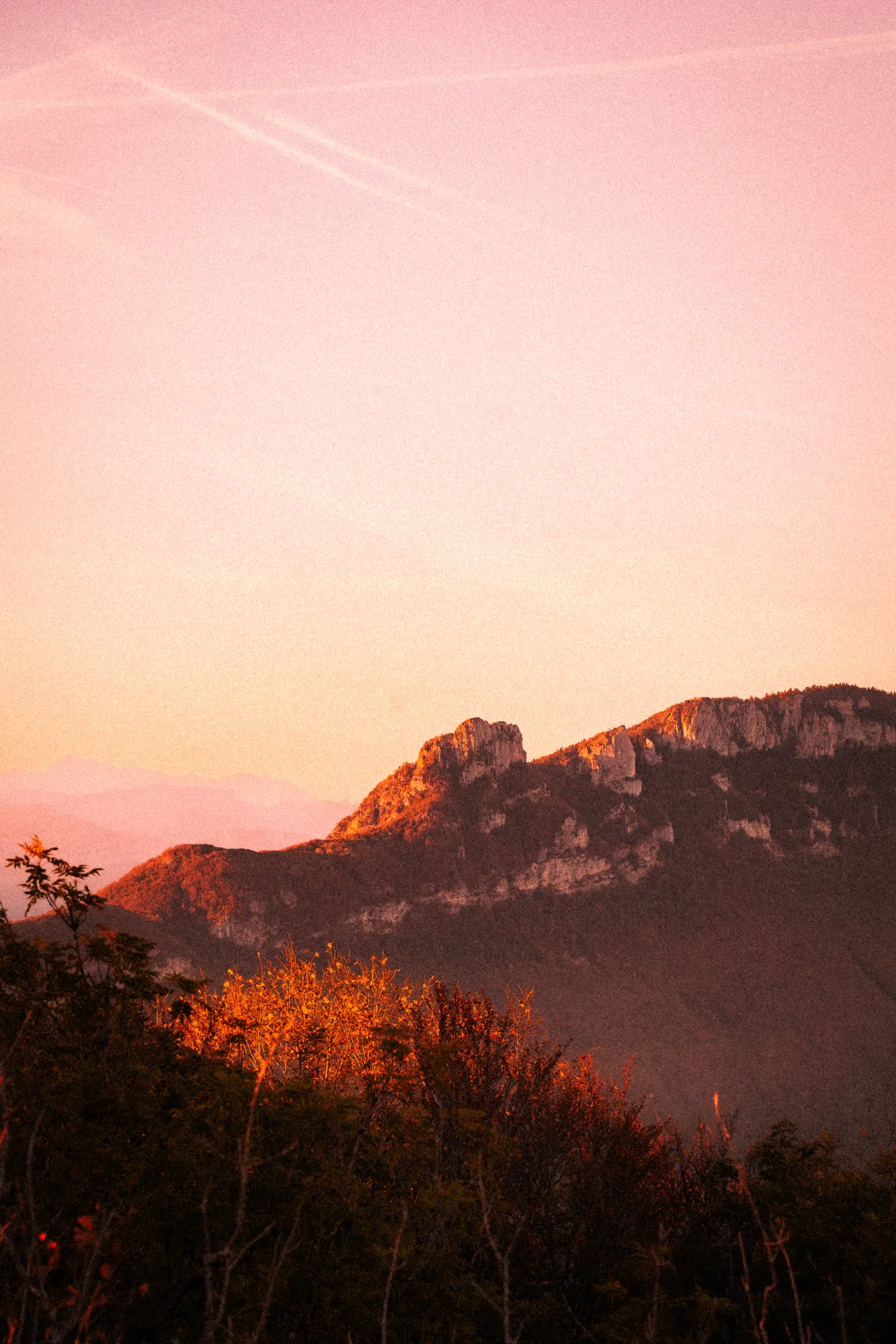 Fotos von meiner Wanderung am Lac du Bourget., Bild 6