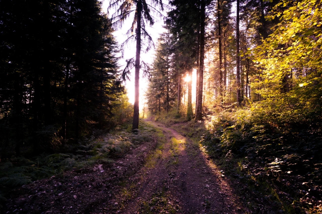 Fotos von meiner Wanderung am Lac du Bourget., Bild 9